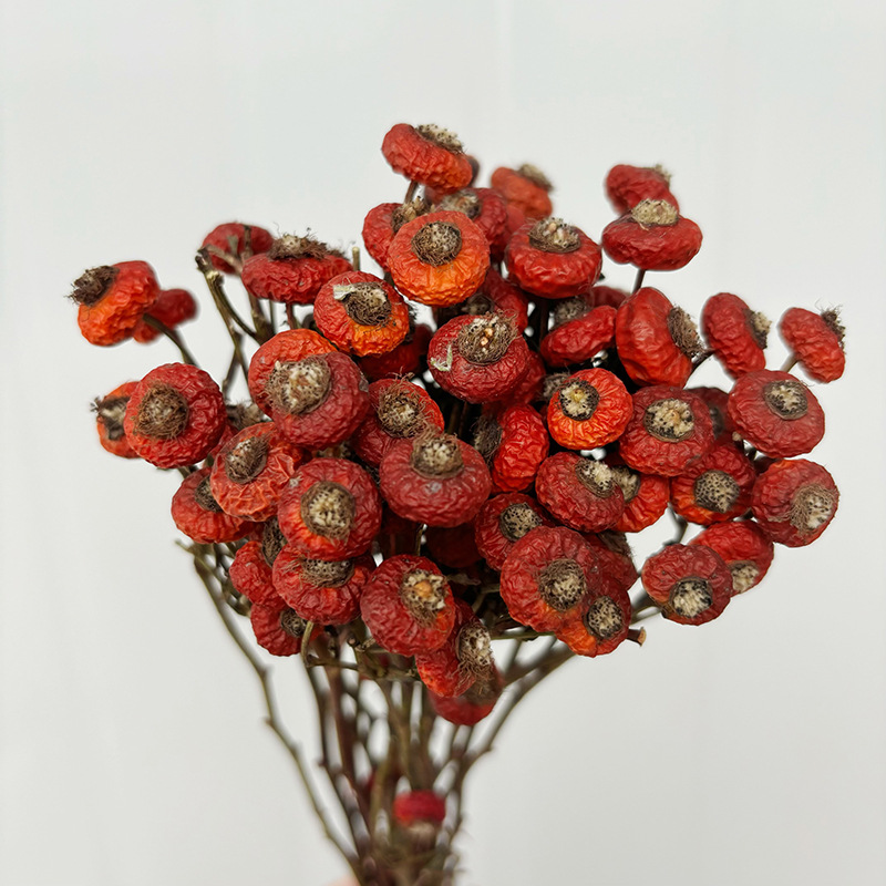 Dried Flower Bunch - 10 قطع/حزمة من ثمار الورد المجففة