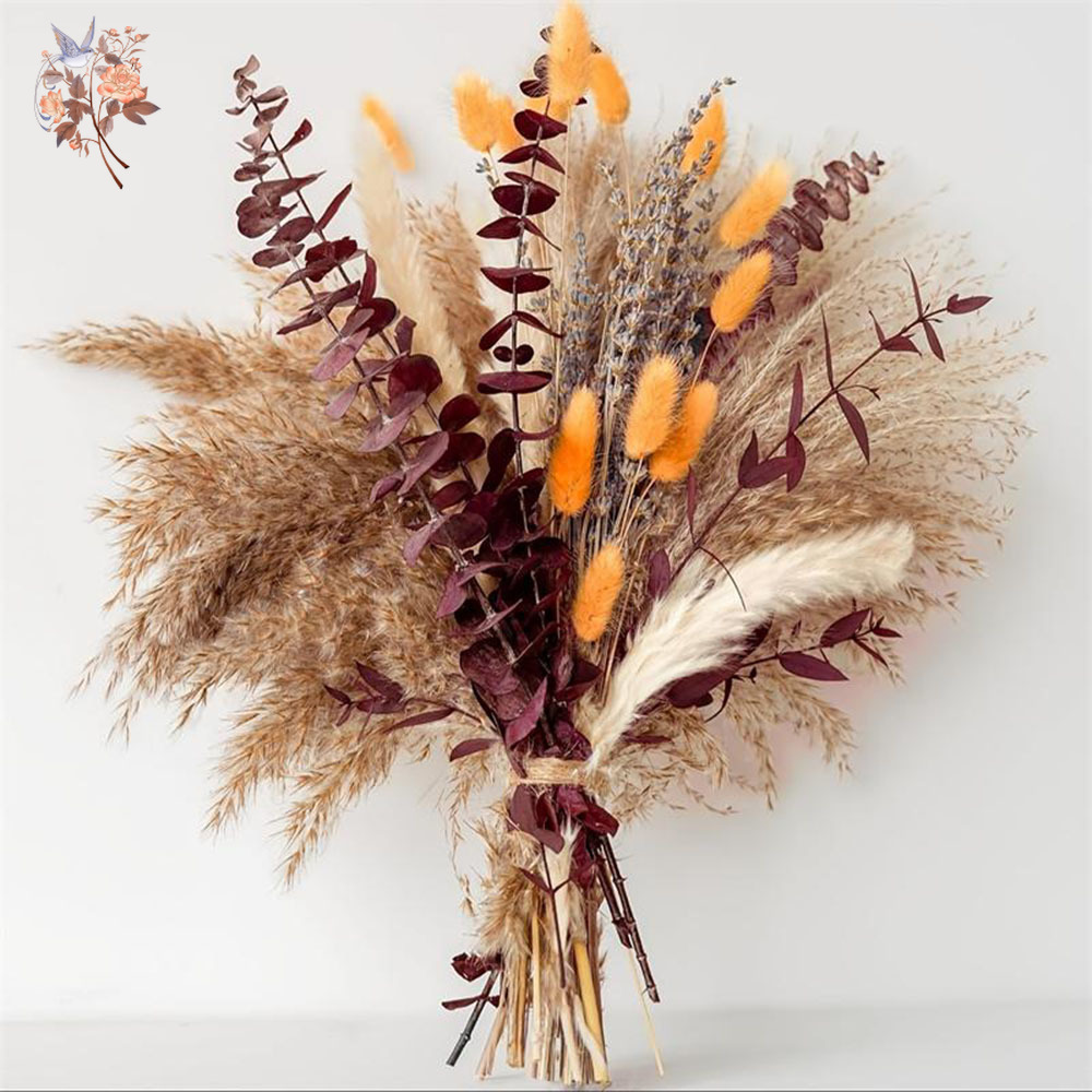 Dried Flower Bunch - 75 قطعة Pampas المجففة أوراق الأوكالبتوس