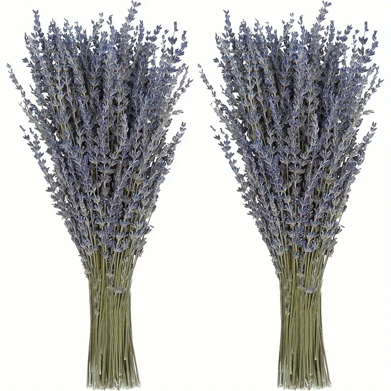 Dried Flower Bunch - 200 قطعة/حزمة من زهور اللافندر المجففة