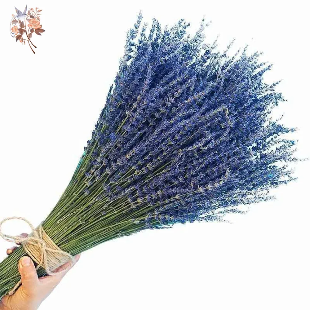 Dried Flower Bunch - باقة لافندر طبيعية مجففة 50 جرام