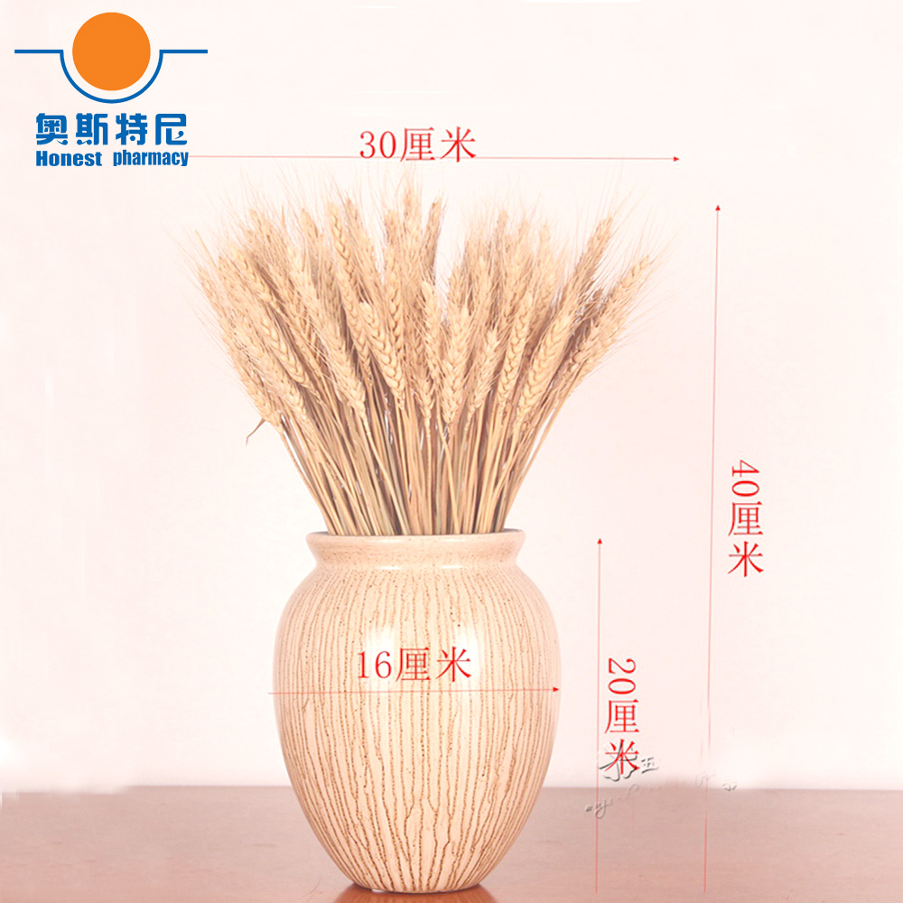 Dried Flower Bunch - 50 قطعة باقات الزهور المجففة الطبيعية