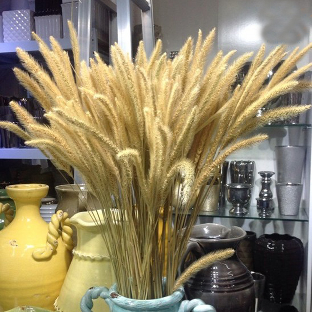 Dried Flower Bunch - 200 قطعة باقات Lagurus ovatus المجففة