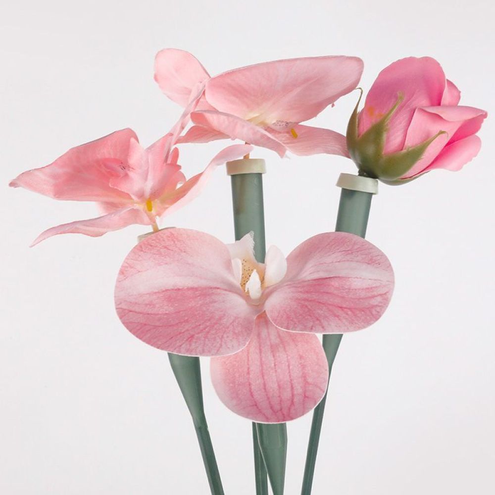 Florist Supply Shop - أنابيب حفظ الزهور، قوارير بلاستيكية شفافة