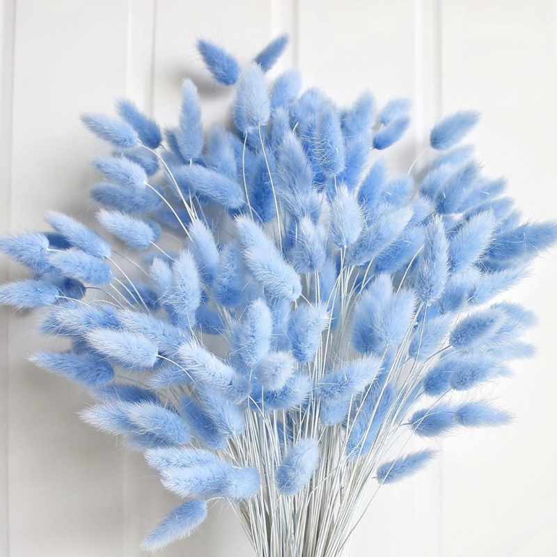 Florist Supply Vases - 100 قطعة ذيل هير الأزرق العشب