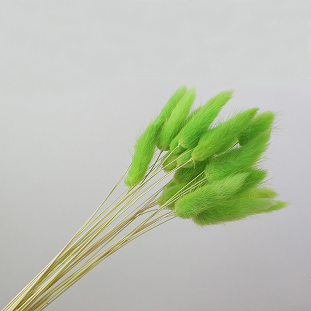50 قطعة باقات الزهور الطبيعية  - مراجعة Dried Flower Bunch وسعره
