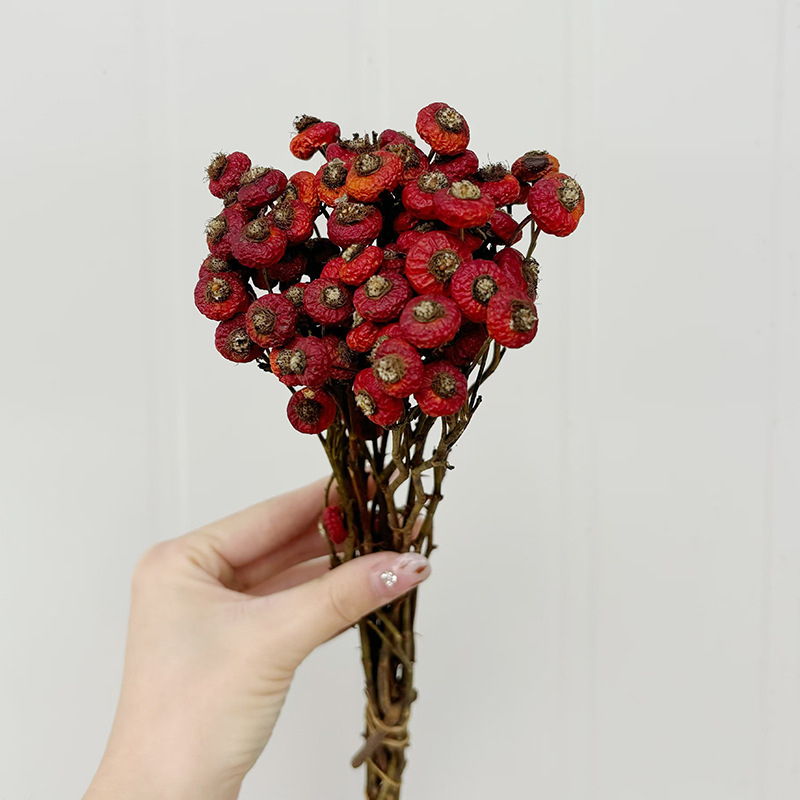 10 قطع/حزمة من ثمار الورد المج - مراجعة Dried Flower Bunch وسعره