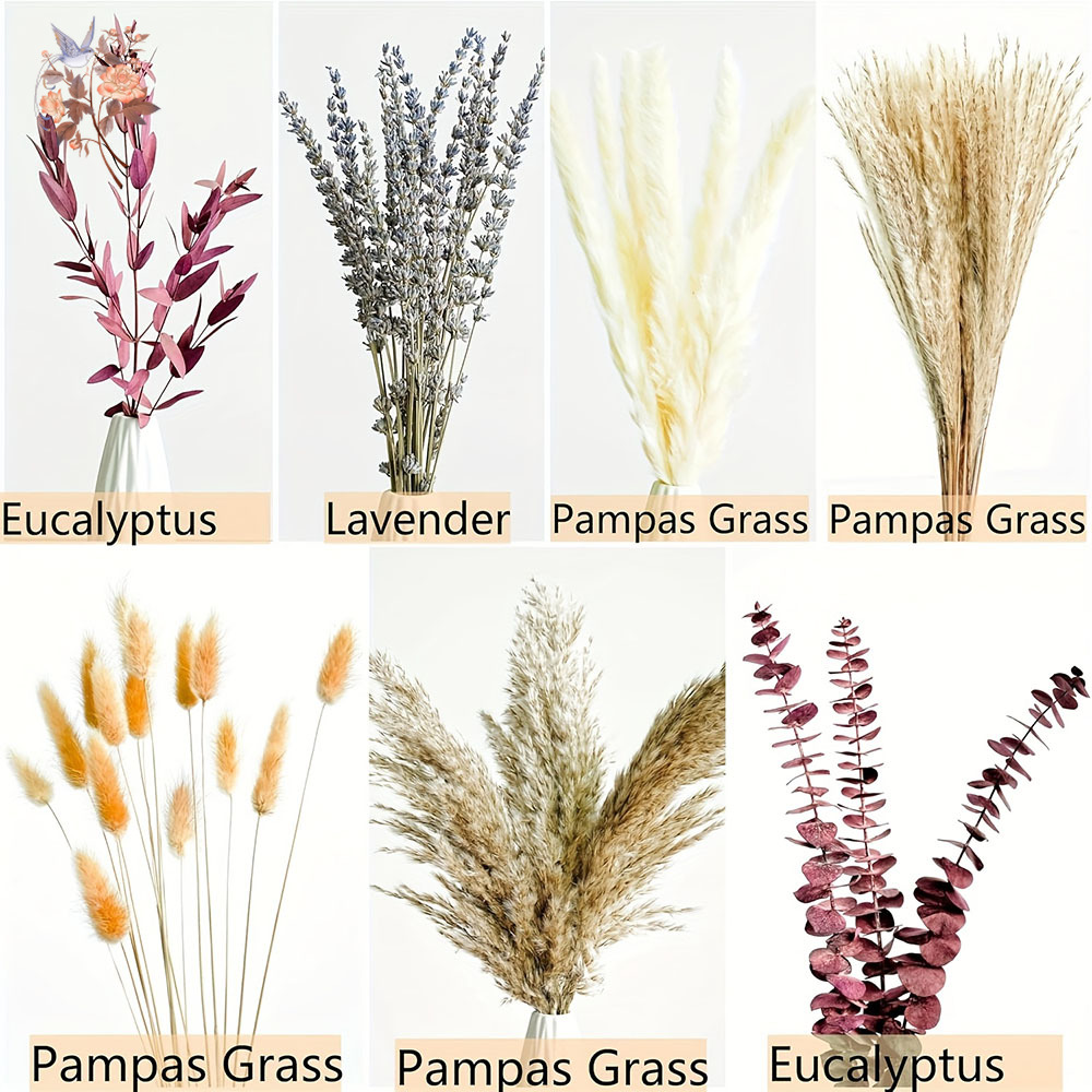 75 قطعة Pampas المجففة أوراق ا - مراجعة Dried Flower Bunch وسعره