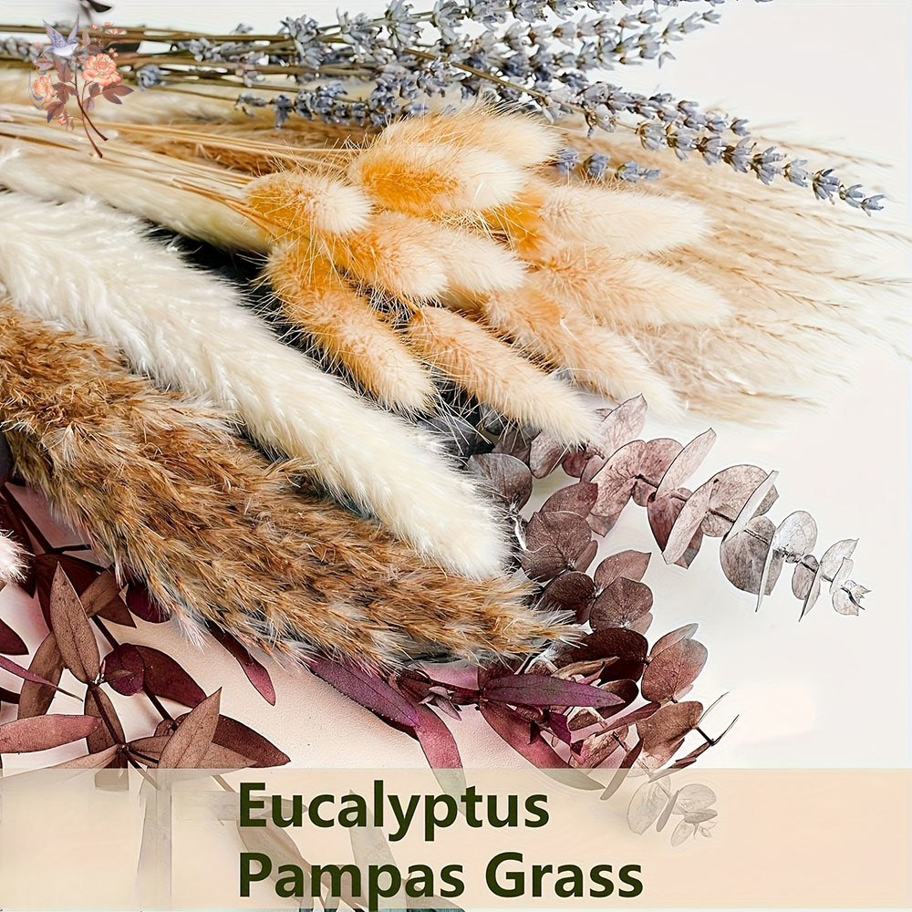 75 قطعة Pampas المجففة أوراق ا - مراجعة Dried Flower Bunch وسعره