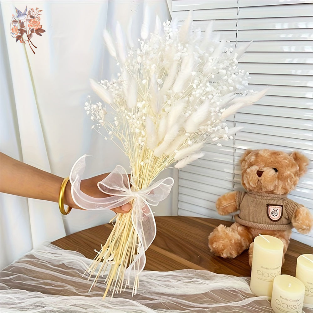 54 قطعة زهرة بيضاء مجففة باقة  - مراجعة Dried Flower Bunch وسعره