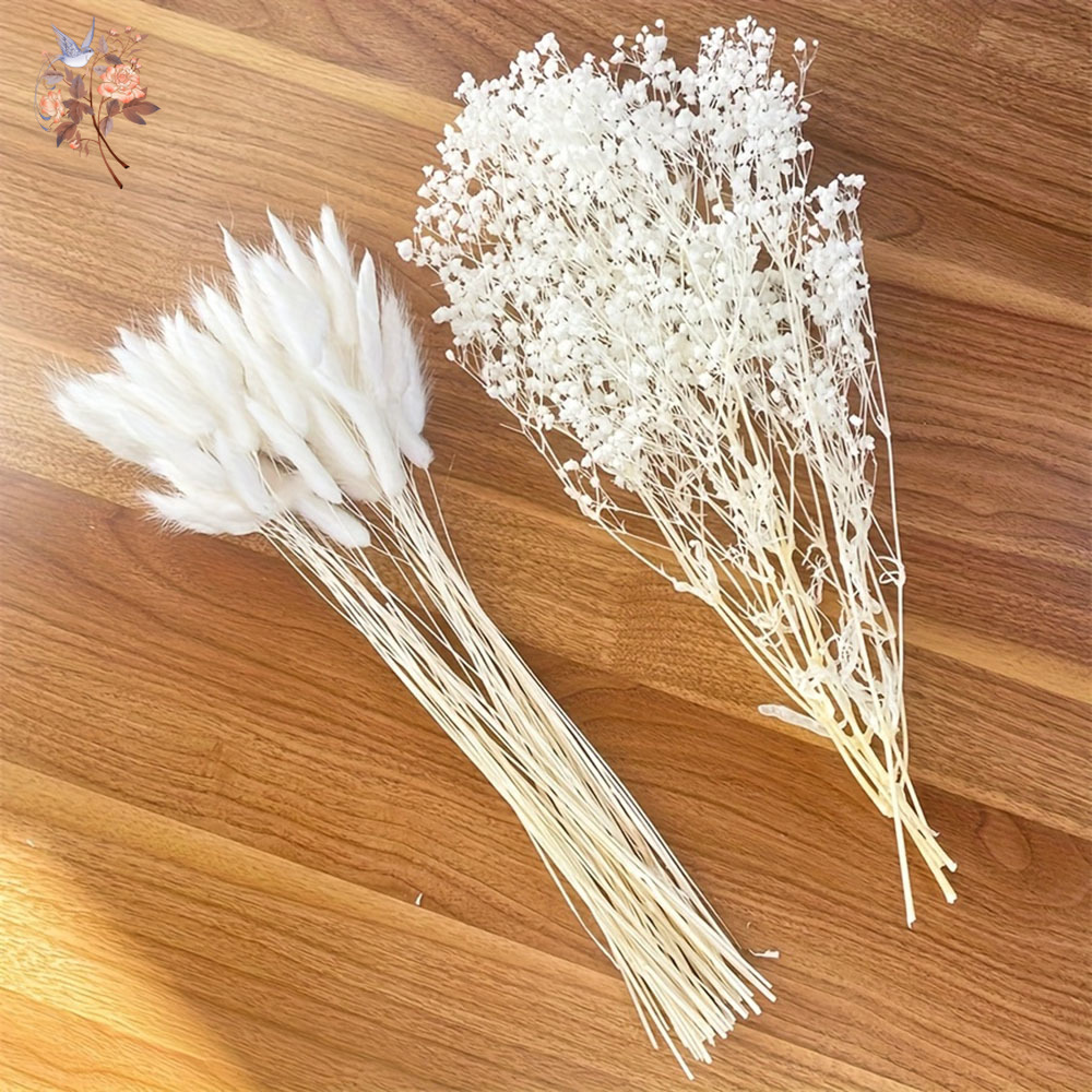54 قطعة زهرة بيضاء مجففة باقة  - مراجعة Dried Flower Bunch وسعره