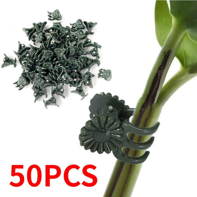 50 قطعة مشابك نباتات خضراء داك - مراجعة Florist Supply Bulk وسعره