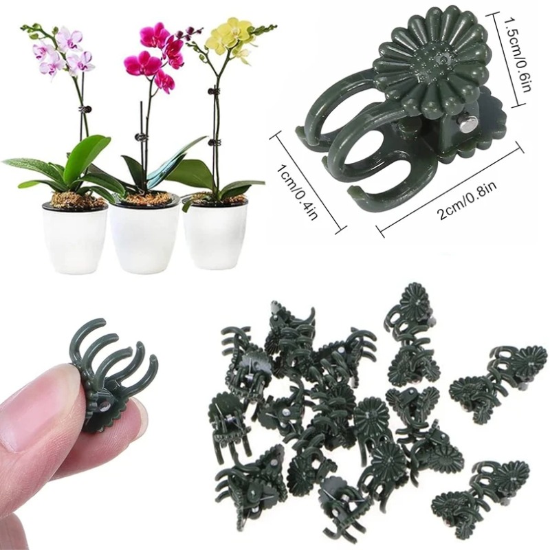50 قطعة مشابك نباتات خضراء داك - مراجعة Florist Supply Bulk وسعره