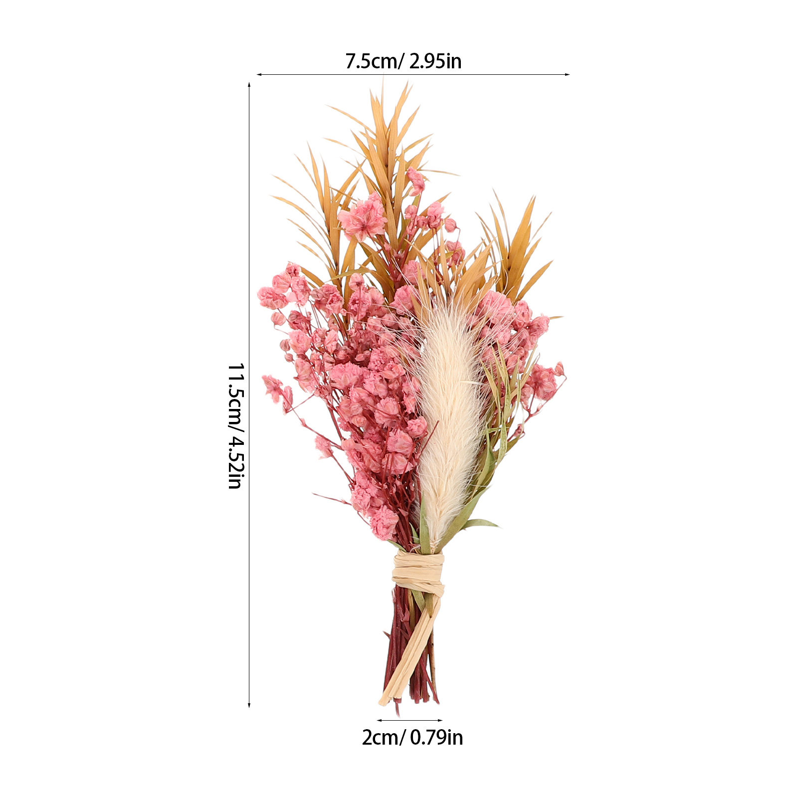 3 قطع باقة زهور مجففة صغيرة طب - مراجعة Dried Flower Bunch وسعره