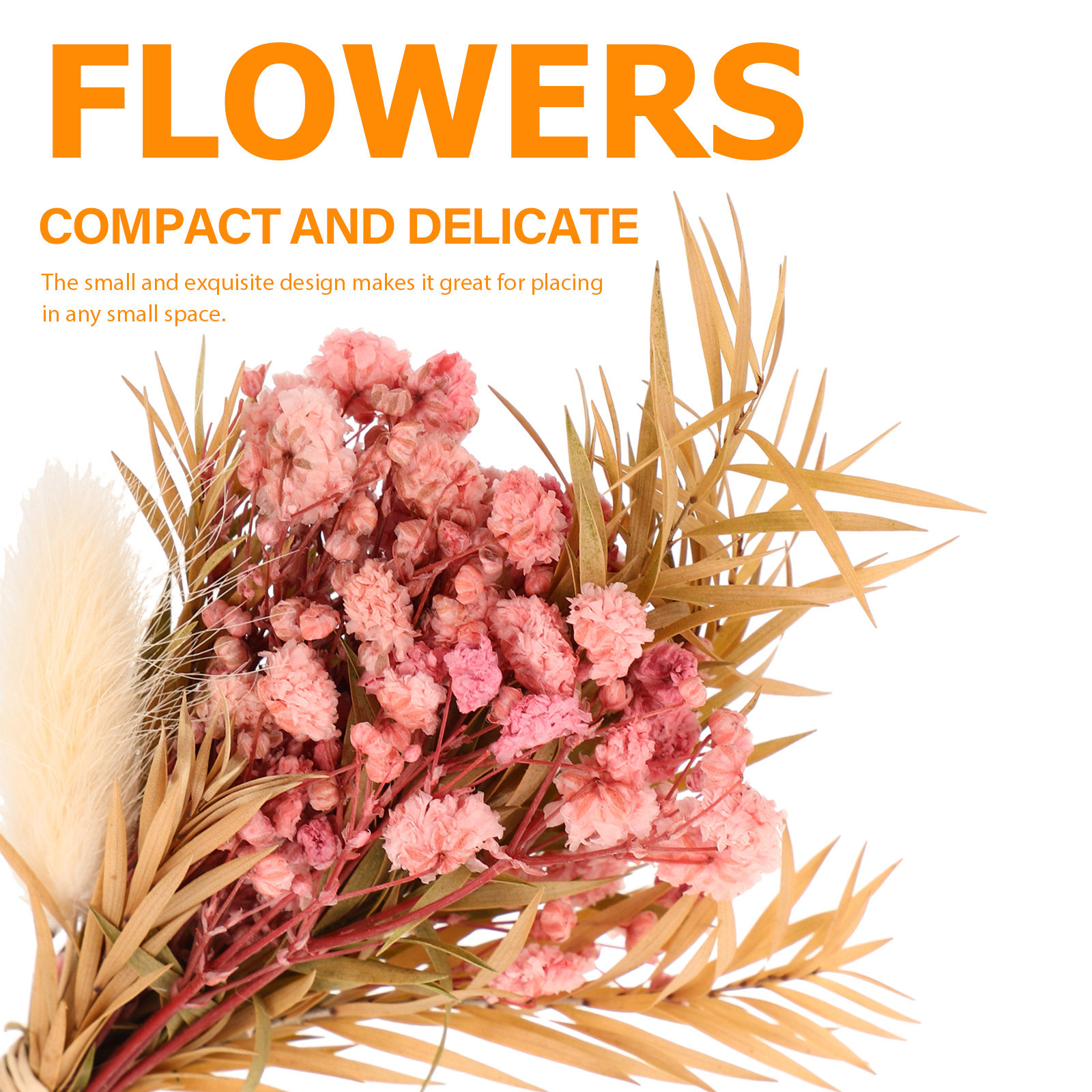 3 قطع باقة زهور مجففة صغيرة طب - مراجعة Dried Flower Bunch وسعره