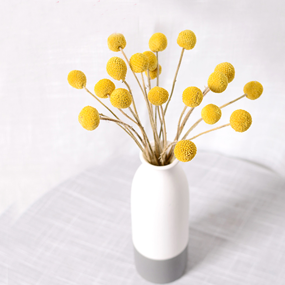 20 قطعة من باقات زهور كراسبيدي - مراجعة Dried Flower Bunch وسعره