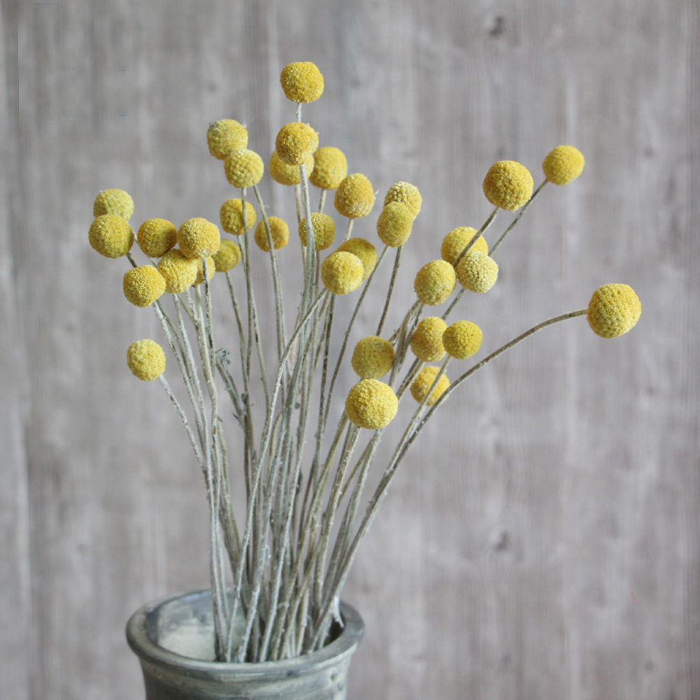 20 قطعة من باقات زهور كراسبيدي - مراجعة Dried Flower Bunch وسعره
