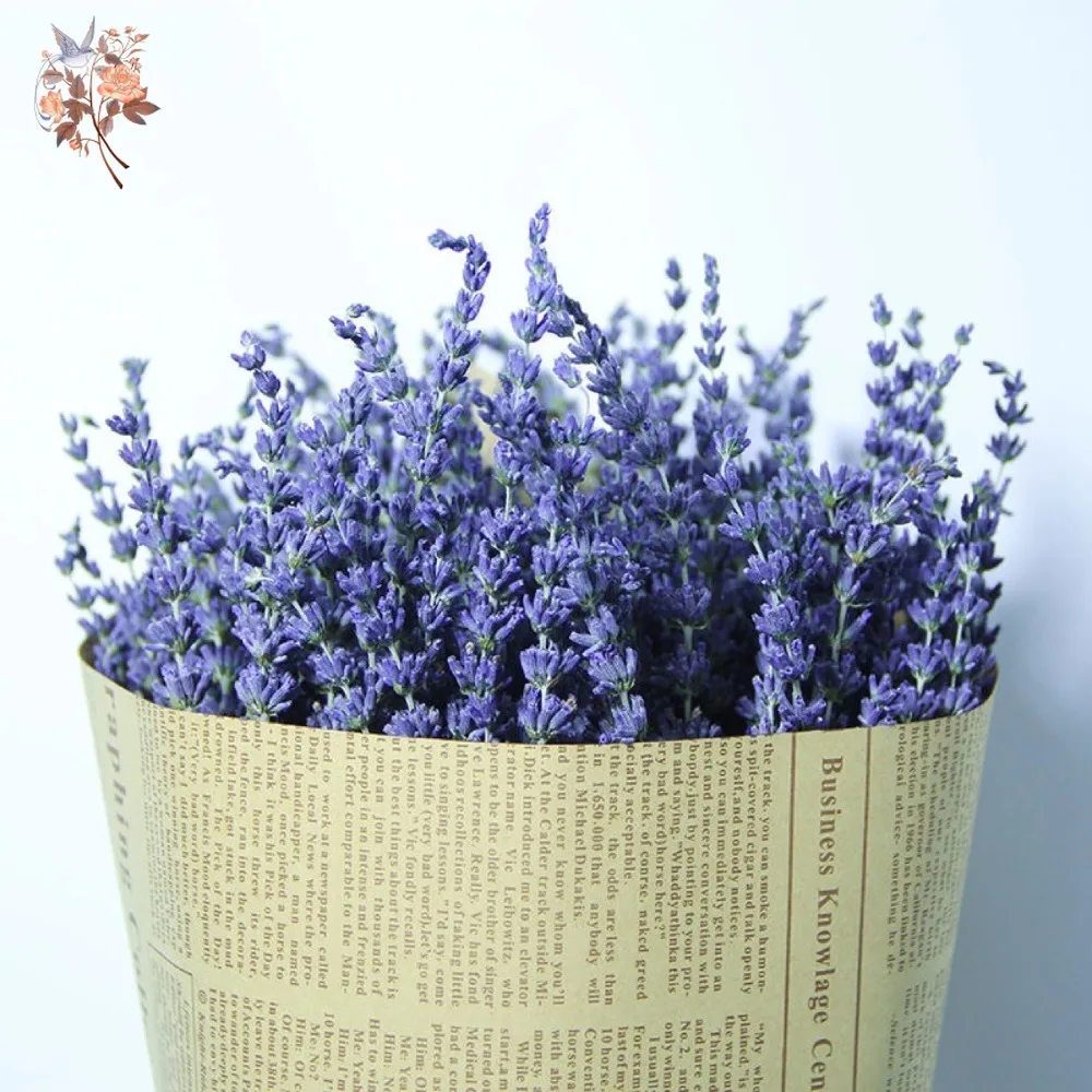 باقة لافندر طبيعية مجففة 50 جر - مراجعة Dried Flower Bunch وسعره
