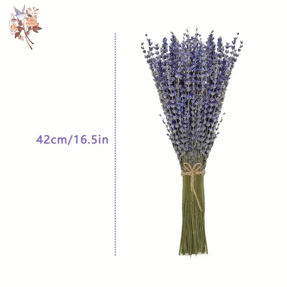 باقة لافندر طبيعية مجففة 50 جر - مراجعة Dried Flower Bunch وسعره