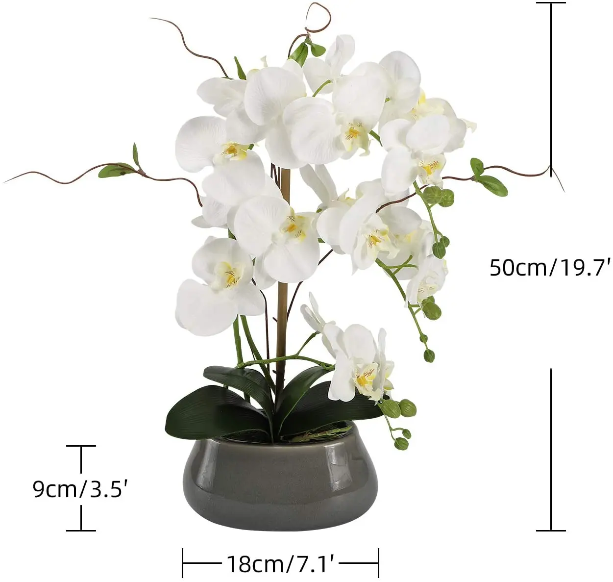 زهور الأوركيد الاصطناعية المرك - مراجعة Florist Supply Vases وسعره