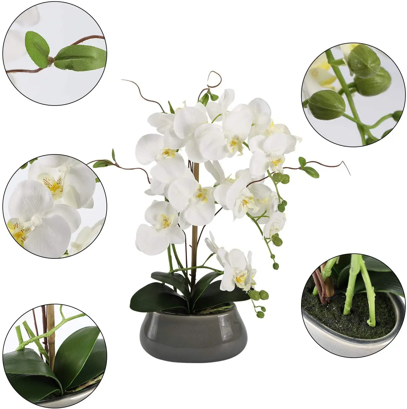 زهور الأوركيد الاصطناعية المرك - مراجعة Florist Supply Vases وسعره