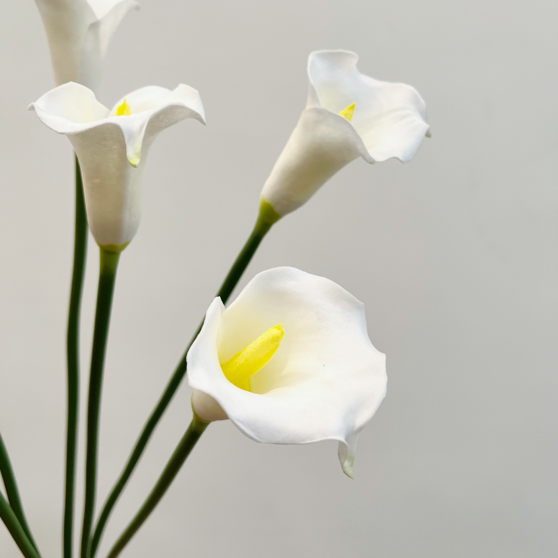 زهرة الكالا الاصطناعية بساق وا - مراجعة Florist Supply Bulk وسعره