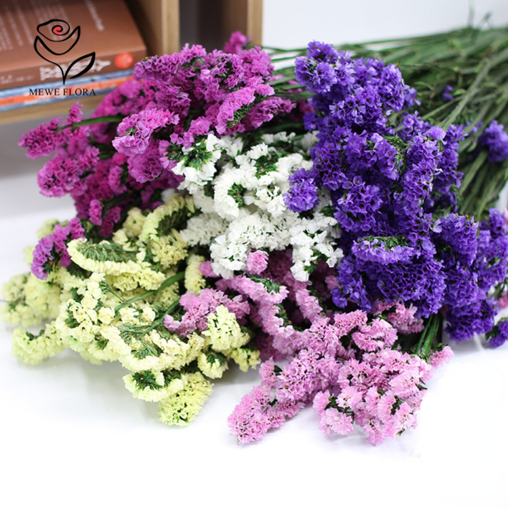 المجففة تنساني ليس زهرة عطرة ، - مراجعة Dried Flower Bunch وسعره