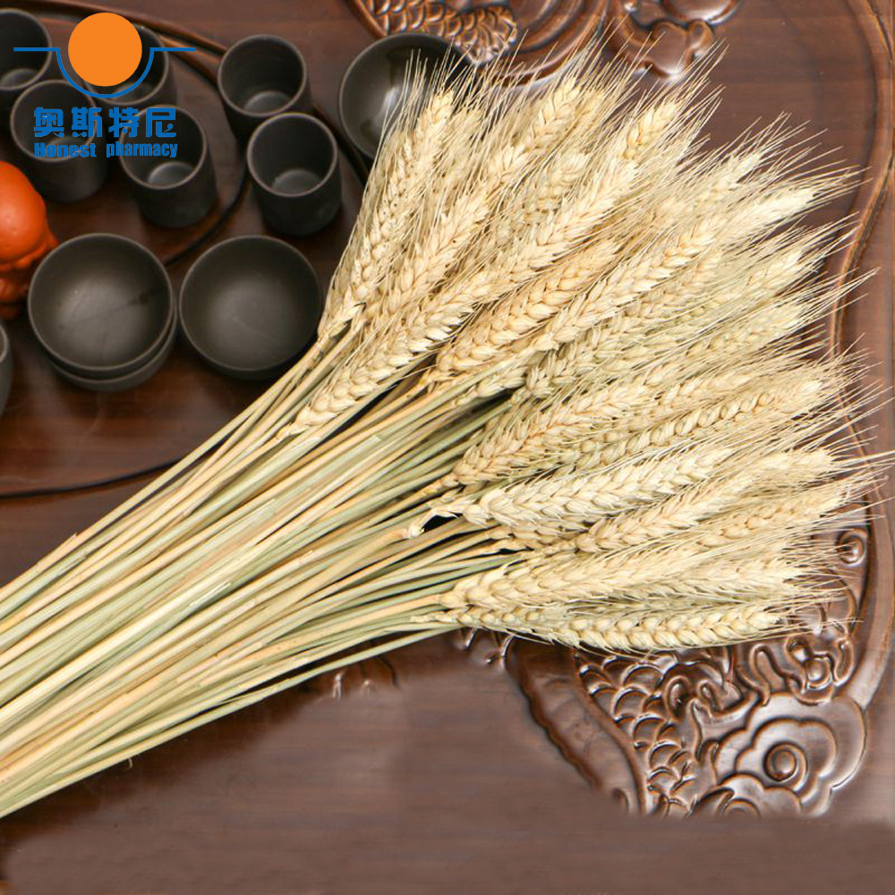 50 قطعة باقات الزهور المجففة ا - مراجعة Dried Flower Bunch وسعره