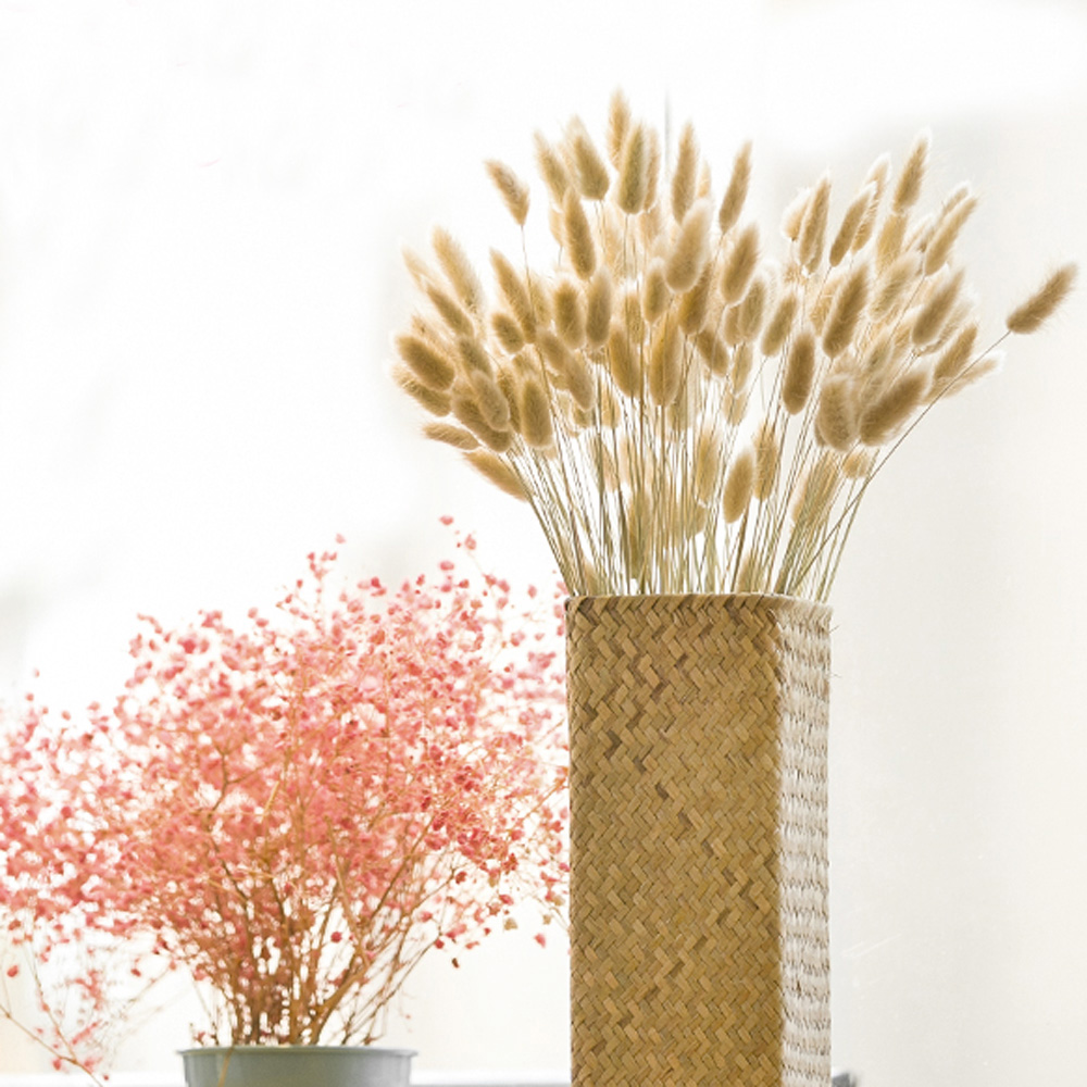200 قطعة باقات Lagurus ovatus  - مراجعة Dried Flower Bunch وسعره