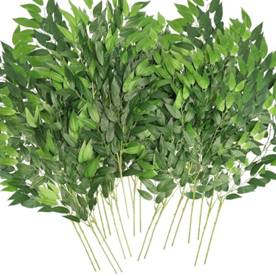 أغصان نبات الروسكوس الإيطالي ا - مراجعة Ruscus Stem Faux وسعره