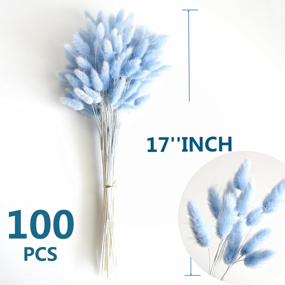 100 قطعة ذيل هير الأزرق العشب  - مراجعة Florist Supply Vases وسعره