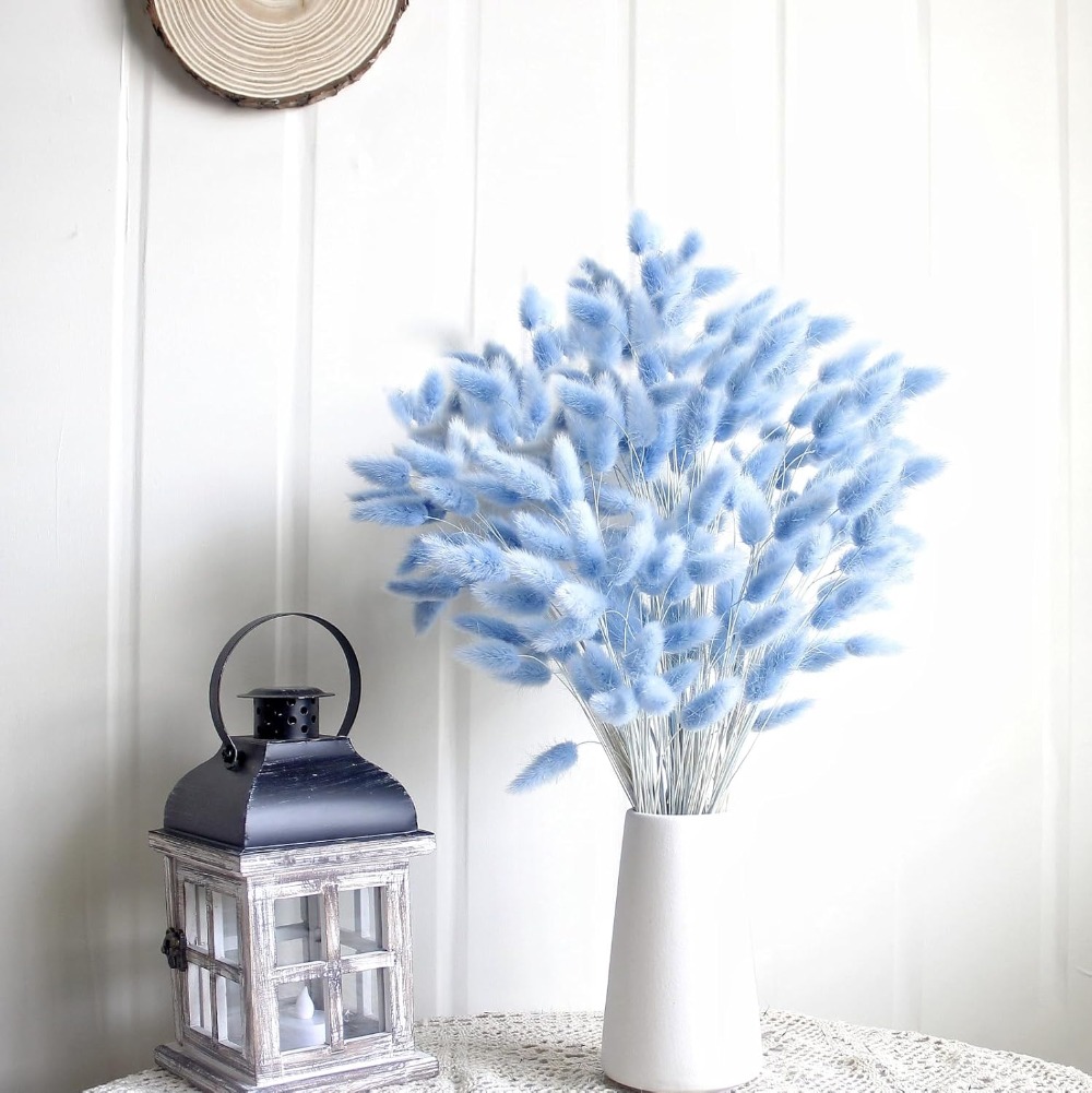 100 قطعة ذيل هير الأزرق العشب  - مراجعة Florist Supply Vases وسعره